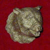 Witch Trail Committee-Bear Head