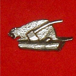 Wood Badge Beaver